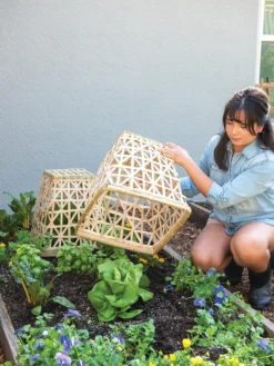 Bamboo Cloche, Set Of 2 -Deals The Garden & Yard Store 8613351 6862