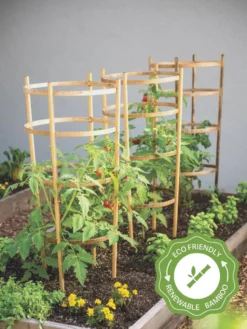 Bamboo Tomato Cages, Set Of 3