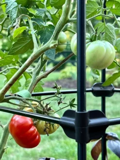 Oasis Self-Watering Tomato Planter With Trellis 15 Oasis Self-Watering Tomato Planter With Trellis -Deals The Garden & Yard Store 8613440 01TEST
