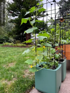 Oasis Self-Watering Tomato Planter With Trellis 17 Oasis Self-Watering Tomato Planter With Trellis -Deals The Garden & Yard Store 8613440 02TEST