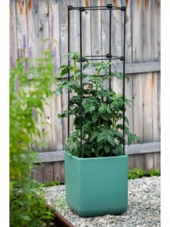Oasis Self-Watering Tomato Planter With Trellis 14 Oasis Self-Watering Tomato Planter With Trellis -Deals The Garden & Yard Store 8613440 0373 3 4