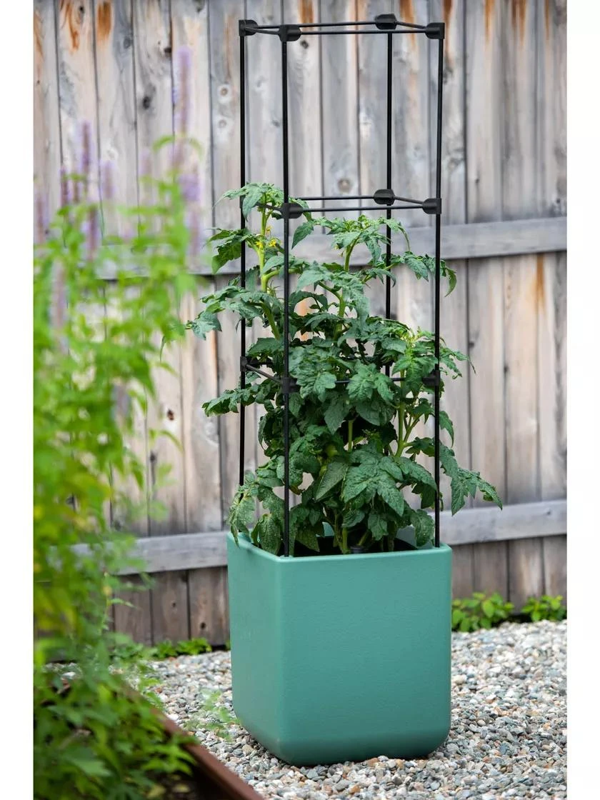 Oasis Self-Watering Tomato Planter With Trellis 5 Oasis Self-Watering Tomato Planter With Trellis - Image 5