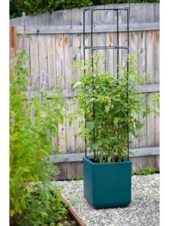 Oasis Self-Watering Tomato Planter With Trellis 13 Oasis Self-Watering Tomato Planter With Trellis -Deals The Garden & Yard Store 8613440 0376 3 4 1