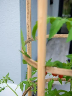 Elevated Bamboo Tomato Planter And Trellis -Deals The Garden & Yard Store 8613502 0423