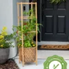 Elevated Bamboo Tomato Planter And Trellis
