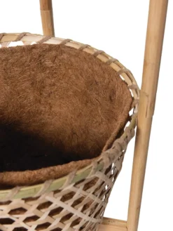 Elevated Bamboo Tomato Planter And Trellis -Deals The Garden & Yard Store 8613502 4685