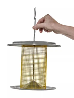Color Pop Sunflower Seed Bird Feeder -Deals The Garden & Yard Store 8613785 14V