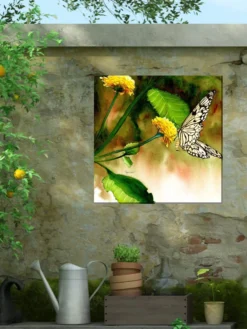 Butterfly Kiss Outdoor Wall Art