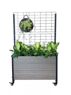 Mobile Deep Trough Planter With Trellis -Deals The Garden & Yard Store 8614265 03V