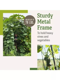 Titan Squash Tunnel -Deals The Garden & Yard Store B07932DMCR plantsupport benefits 2