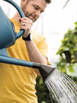 French Blue Watering Can -Deals The Garden & Yard Store ChrisAhrensSquare 0118 tif
