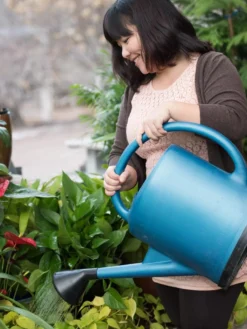 French Blue Watering Can -Deals The Garden & Yard Store EmilyHoangSquare 0151 tif