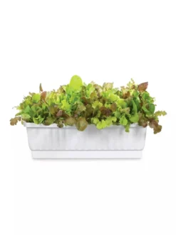 31" Self-Watering Window Box -Deals The Garden & Yard Store GS36523 01Z 3 4