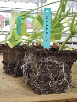 2-3/4" Square Cowpots 6-Packs, Set Of 4 -Deals The Garden & Yard Store GS37034 05