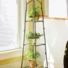 Branch Plant Stand