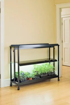 Floor Sunlite® Garden