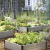 Sustainable Raised Beds