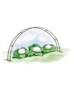 Super Hoops, Set Of 6 -Deals The Garden & Yard Store GS39423 02S 3 4