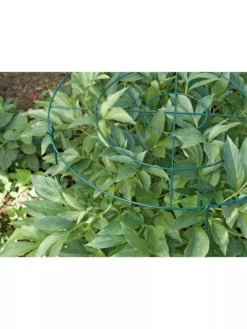 Grow Through Supports, Set Of 3 -Deals The Garden & Yard Store GS40172 01 1