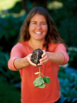 Deep Root Seedstarting System, Black 5 Deep Root Seedstarting System, Black -Deals The Garden & Yard Store GSCOVSPR06D2 01