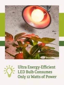 Miracle LED® Absolute Daylight™ Max Flowering Grow Light Bulb -Deals The Garden & Yard Store Miracle Daylight Bulb 2