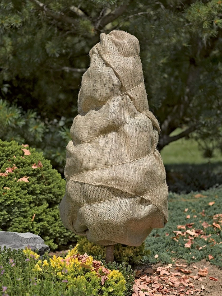 Burlap, 3' X 48' 1 Burlap, 3' X 48'