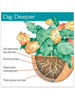 AquaSav™ Replacement Liners, Set Of 3 -Deals The Garden & Yard Store hiw 38 583