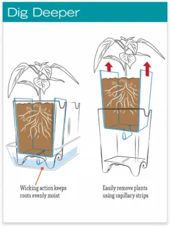 Stoneware Self-Watering Windowsill Planters, Set Of 2 9 Stoneware Self-Watering Windowsill Planters, Set Of 2 -Deals The Garden & Yard Store hiw 8593943 jpg