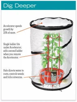 Tomato TLC Kits, Set Of 3 -Deals The Garden & Yard Store hiw 8594214 jpg