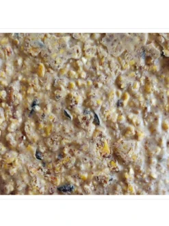 Woodpecker Almond Suet, 11.75 OZ, 12 Pack -Deals The Garden & Yard Store webimage 8613691 04V