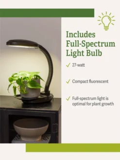 Agrobrite Desktop Plant Light 12 Agrobrite Desktop Plant Light -Deals The Garden & Yard Store webimage Agrobrite Desktop